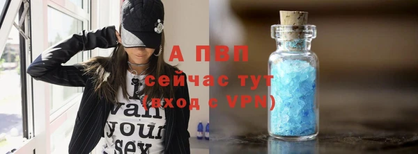 Альфа ПВП Верея