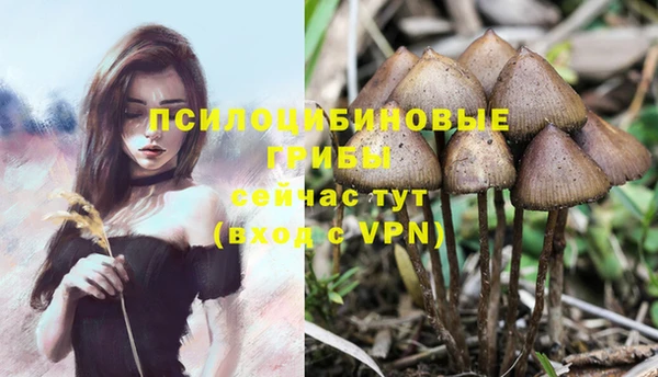 ECSTASY Володарск