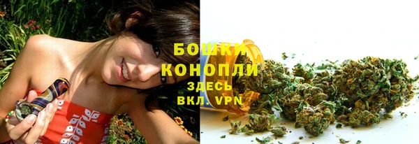 ГАЛЛЮЦИНОГЕННЫЕ ГРИБЫ Верхний Тагил