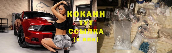 Альфа ПВП Верея