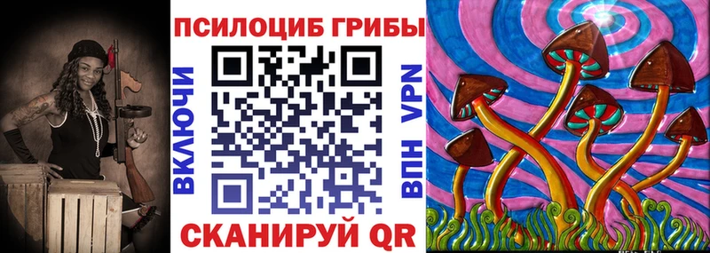 где можно купить наркотик  Ишим  Галлюциногенные грибы прущие грибы 